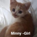 Image of Minny