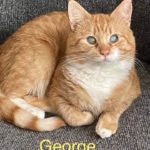 Image of George