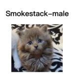 Image of Smokestack (reserved)
