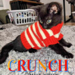 Image of Crunch